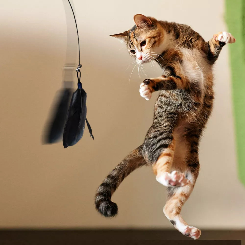 Cat Feather Wand Stick with Suction Cup Wire Teaser Kitten Toy w/ Dangle Bell