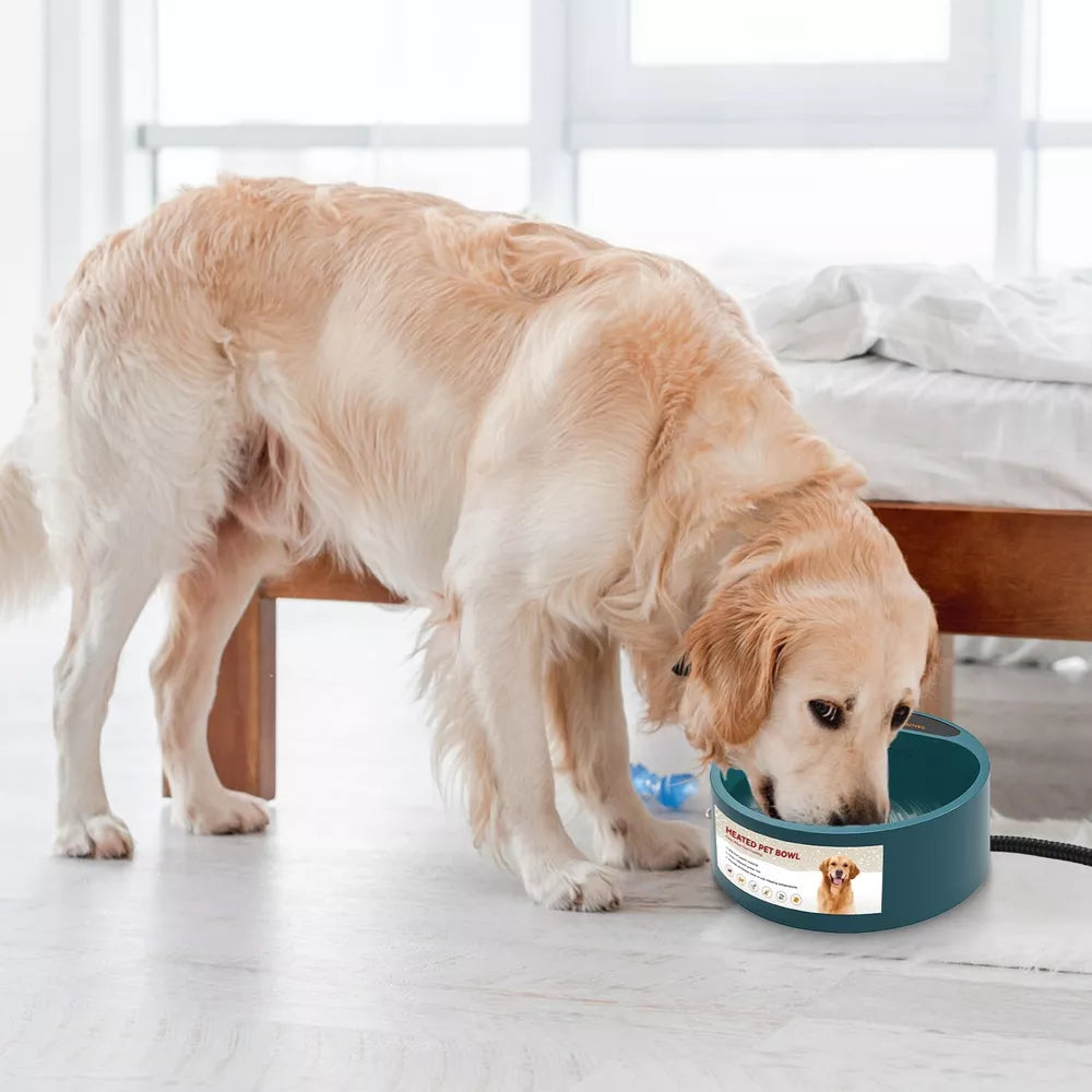 Dog Cat Heated Water Bowl Outdoor Thermostat for Chickens Rabbits Bird Bath