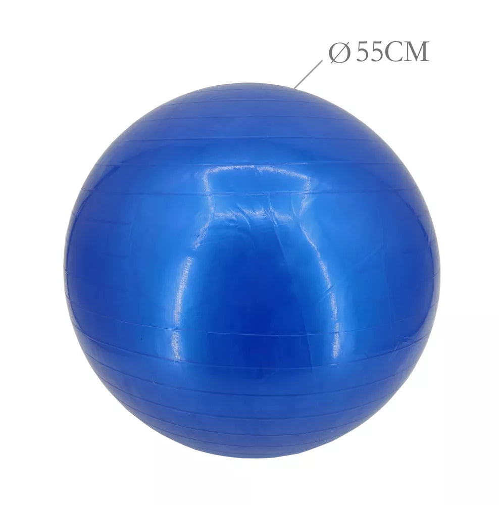 55Cm Exercise Ball Yoga Ball Fitness Stability Ball Balance Ball Gym Theraball