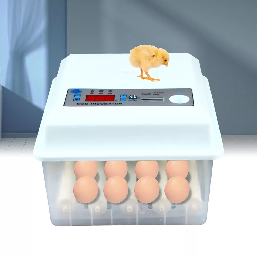 16 Eggs Incubator Automatic Turning Temperature Control Hatcher Machine 30W NEW