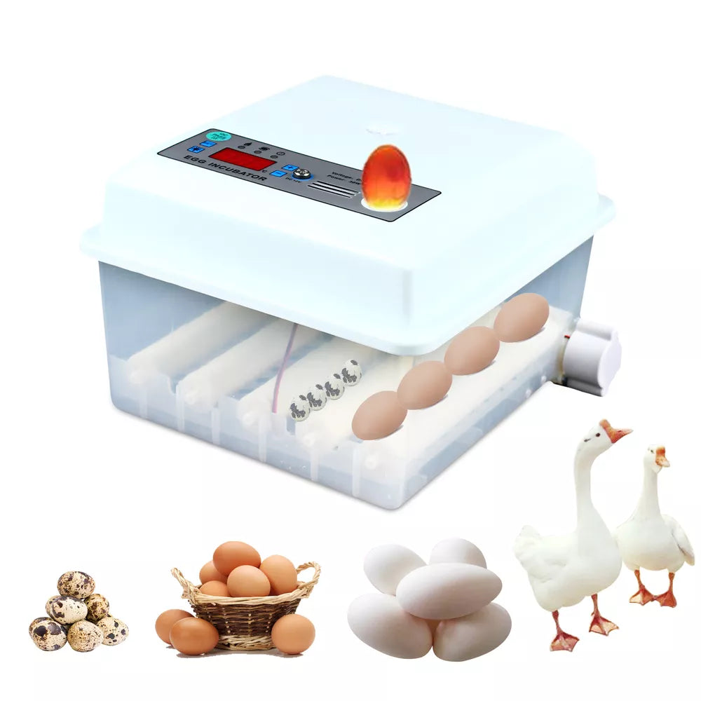 16 Eggs Incubator Automatic Turning Temperature Control Hatcher Machine 30W NEW