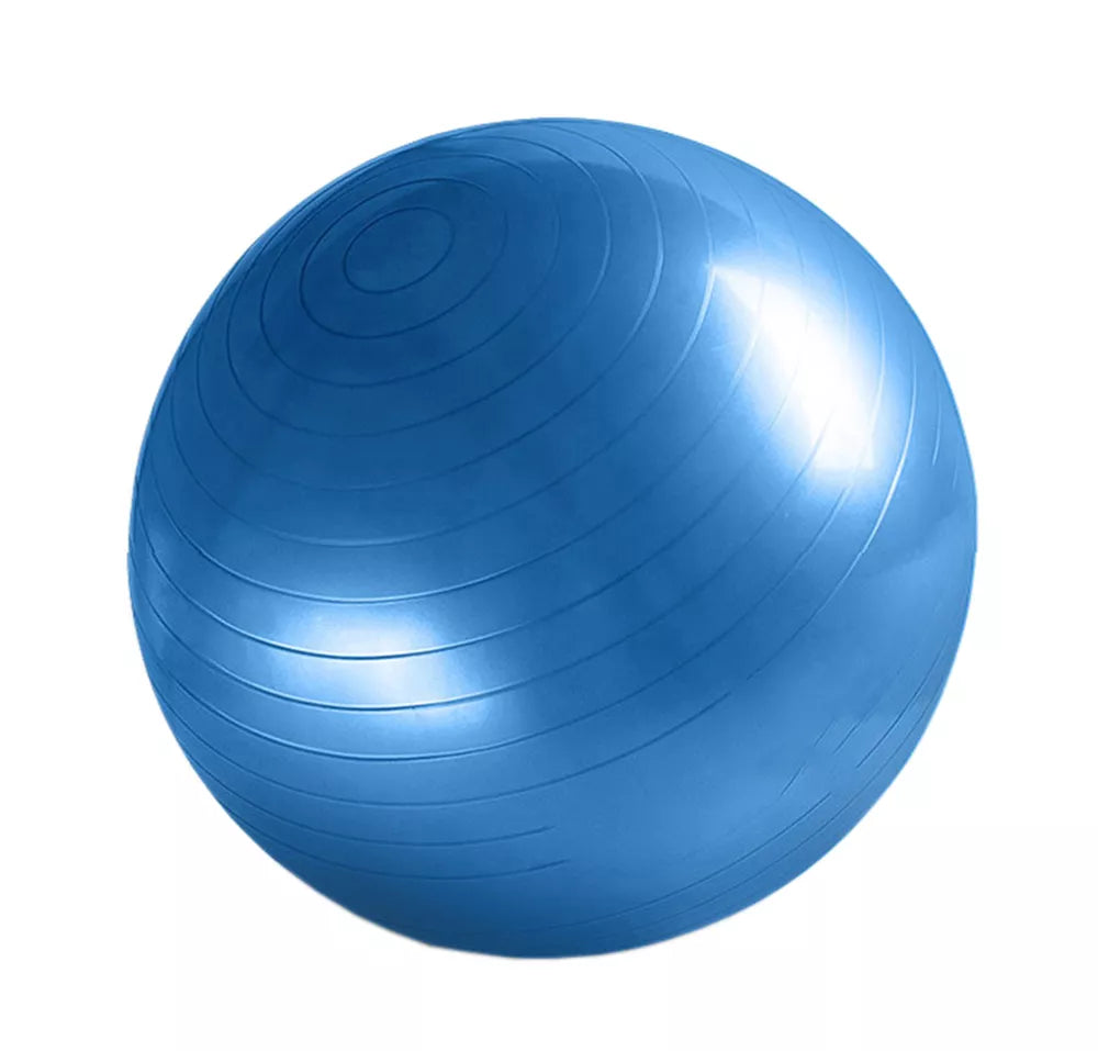 55Cm Exercise Ball Yoga Ball Fitness Stability Ball Balance Ball Gym Theraball