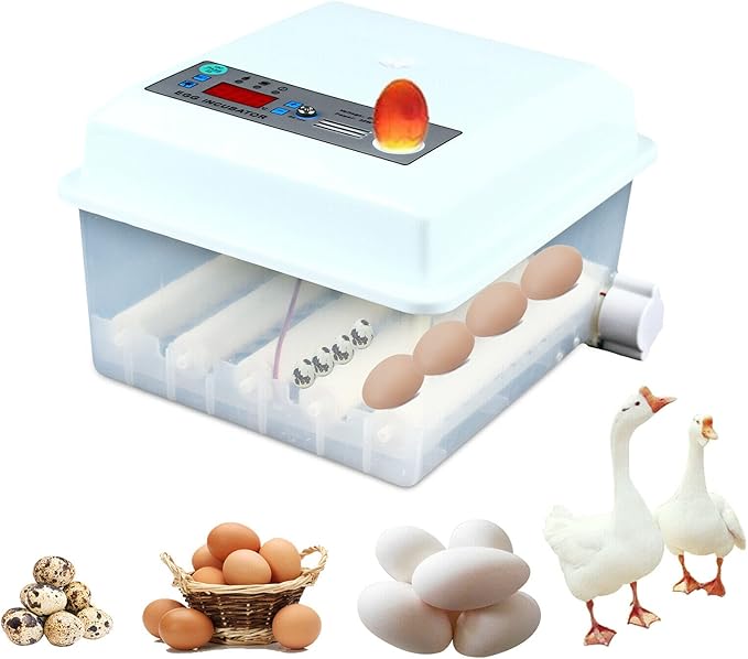 16 Eggs Incubator Automatic Turning Temperature Control Hatcher Machine 30W NEW