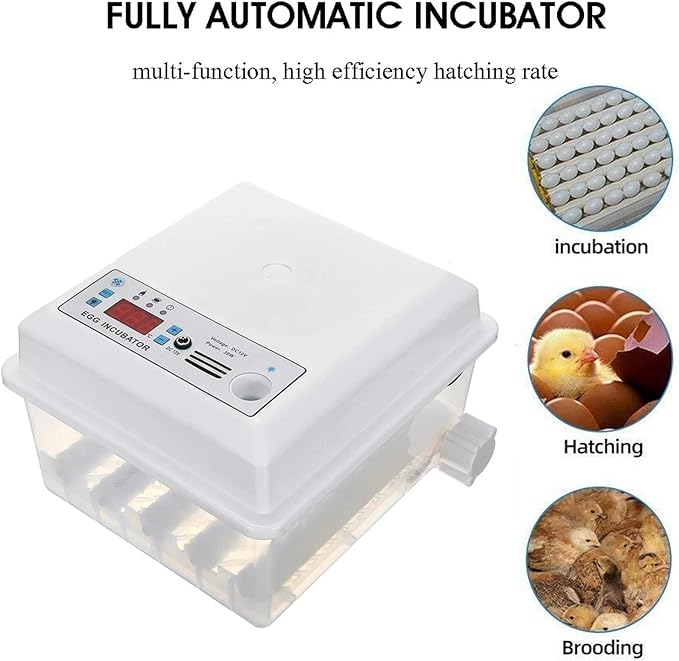 16 Eggs Incubator Automatic Turning Temperature Control Hatcher Machine 30W NEW