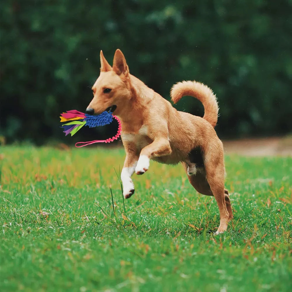 Dog Tug Toy,Dog Toys for Aggressive Chewers Dog Rope Toy with Strong Squeak - Ea