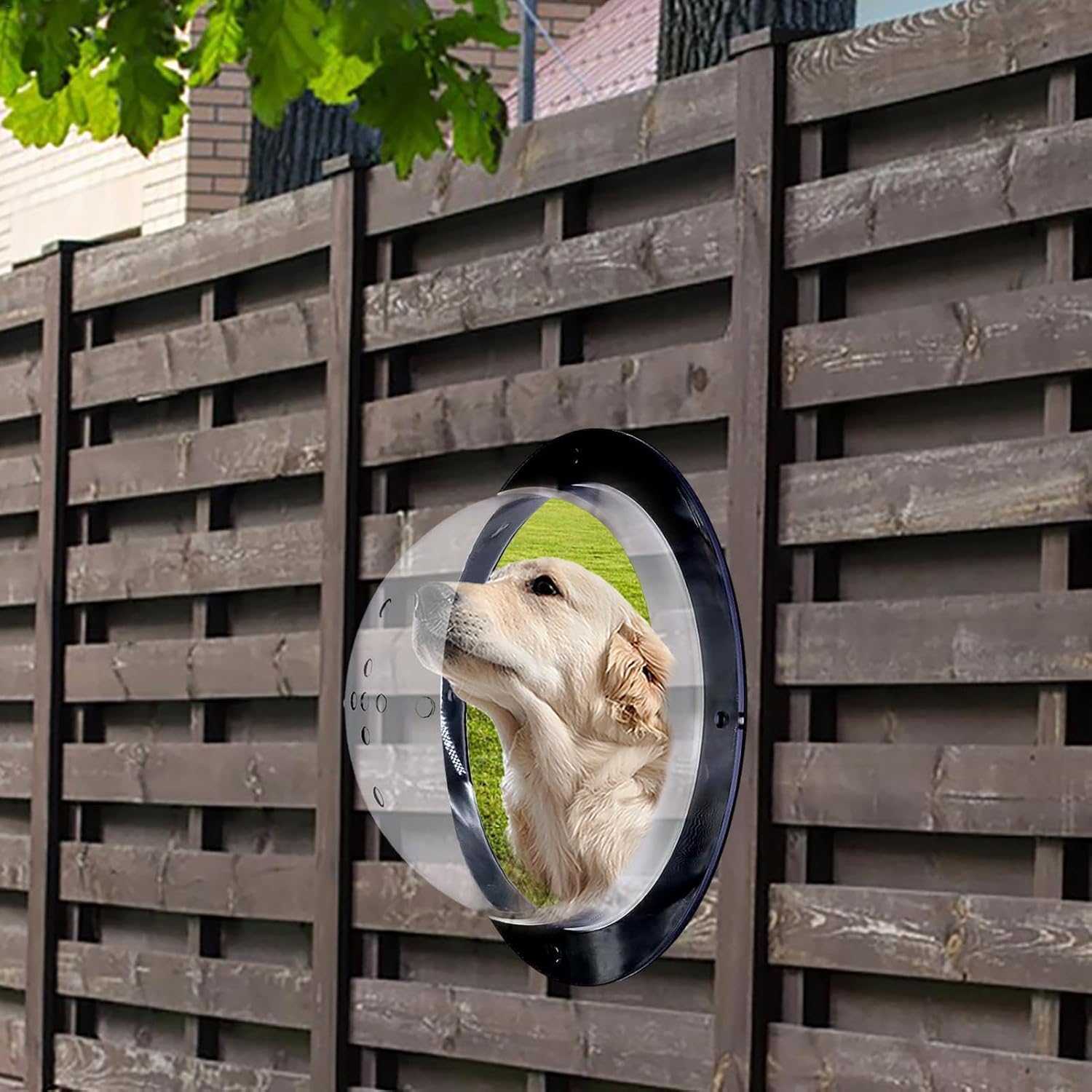 Pet Peek Fence Bubble Window For Dog Cat Acrylic Dome Fence Window Clear Acrylic