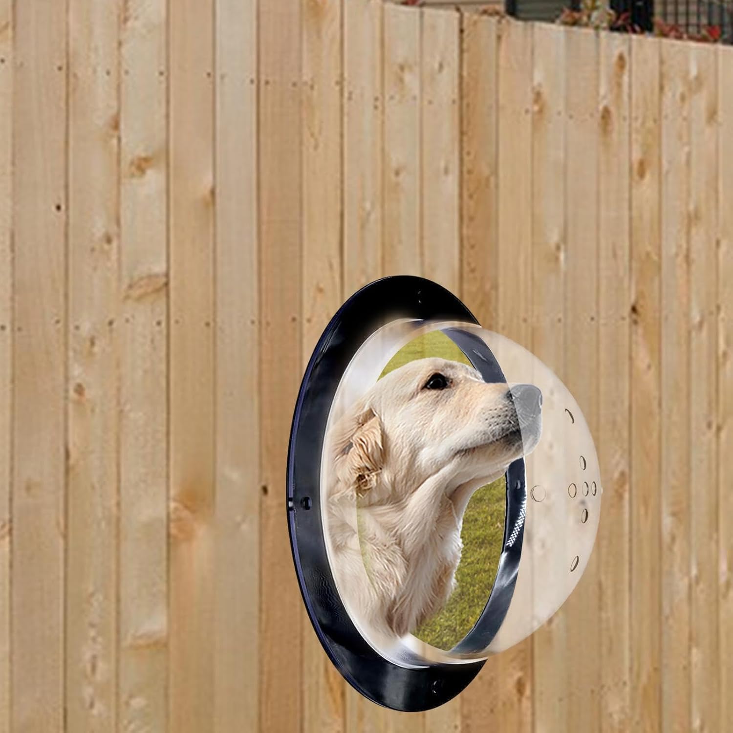 Pet Peek Fence Bubble Window For Dog Cat Acrylic Dome Fence Window Clear Acrylic