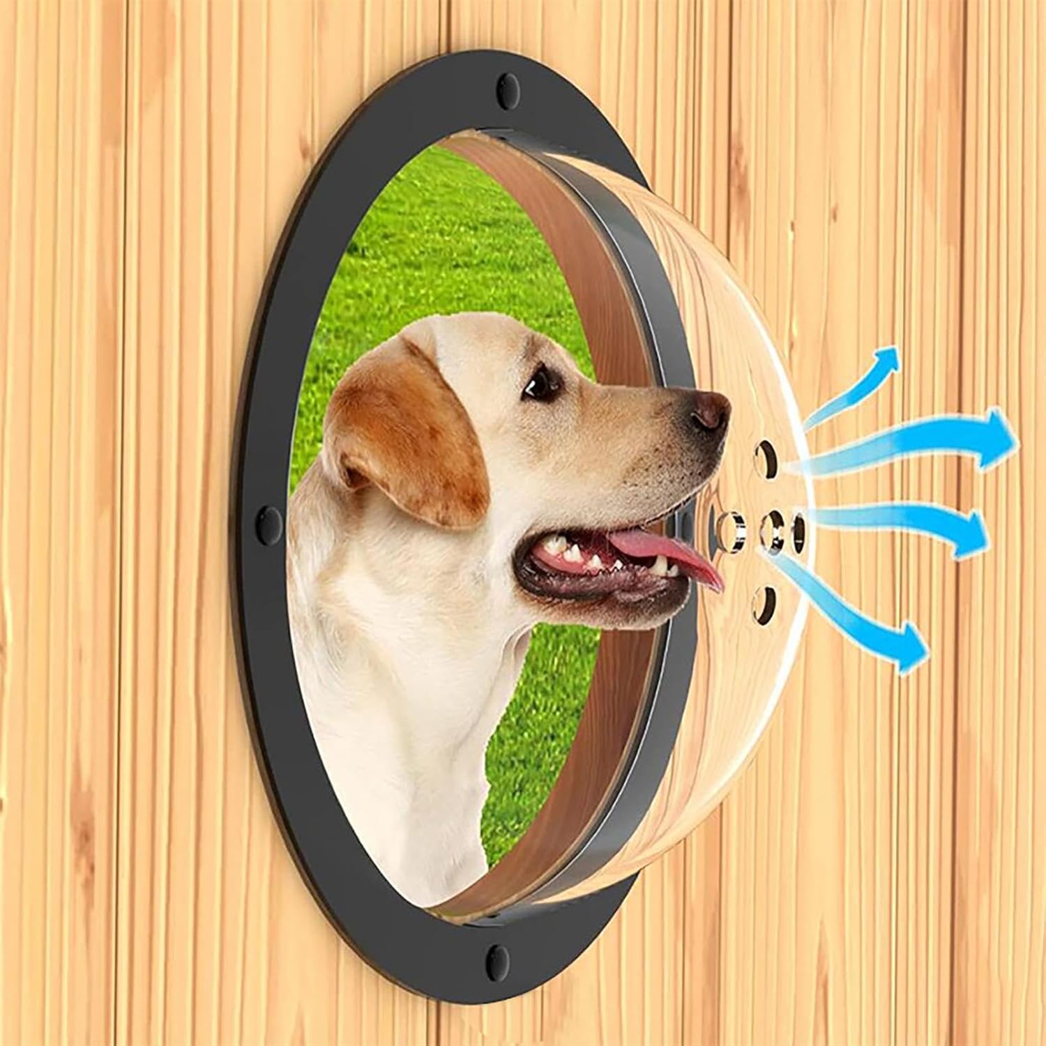 Pet Peek Fence Bubble Window For Dog Cat Acrylic Dome Fence Window Clear Acrylic