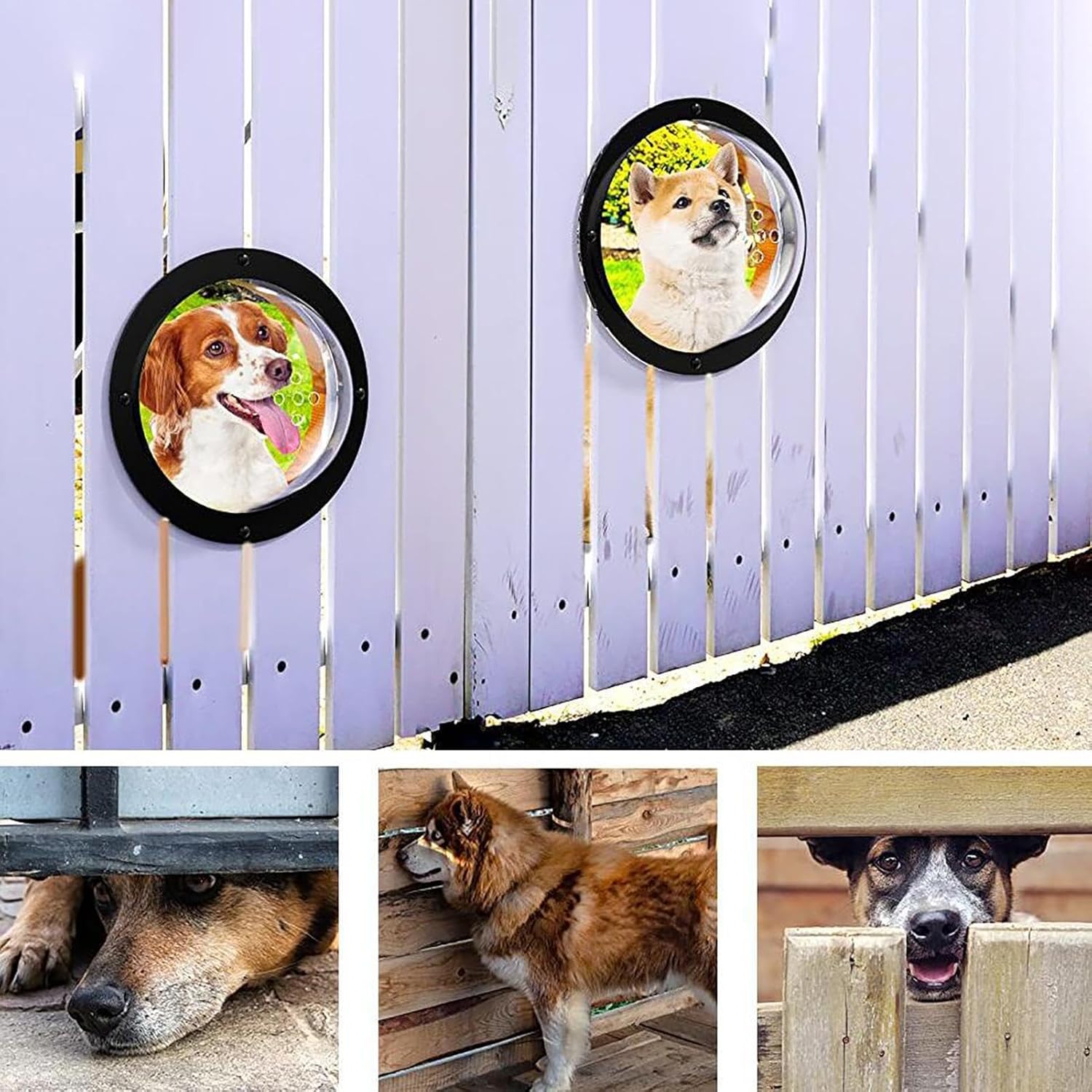 Pet Peek Fence Bubble Window For Dog Cat Acrylic Dome Fence Window Clear Acrylic