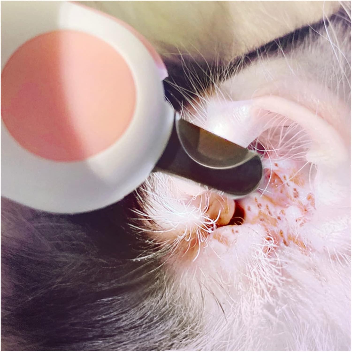 Mini Pet Nail Clippers With LED Light For Dogs Cats Claw Scissors Grooming Tool