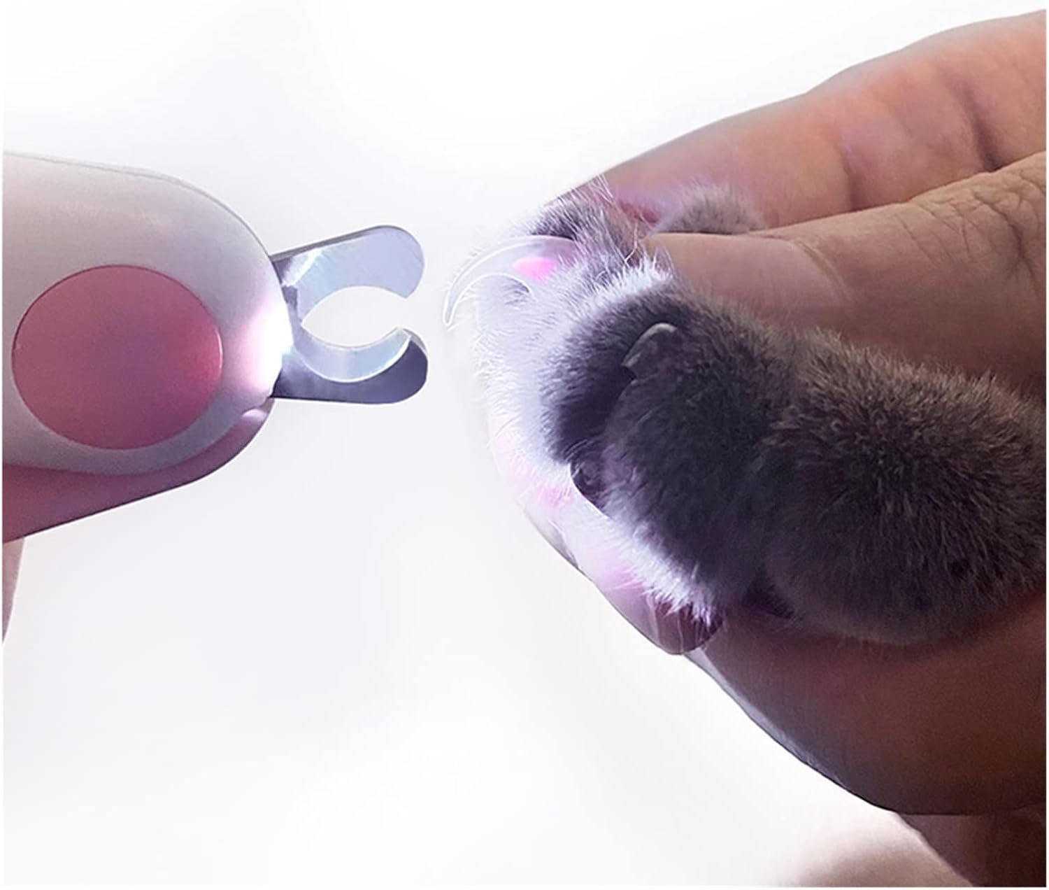 Mini Pet Nail Clippers With LED Light For Dogs Cats Claw Scissors Grooming Tool