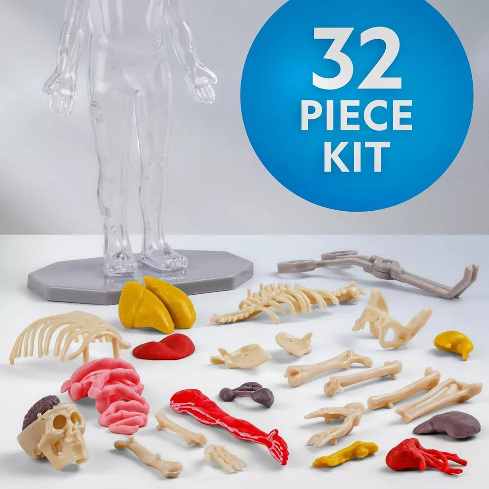 NATIONAL GEOGRAPHIC Human Body Model for Kids That Glows in The Dark - 32-Piece