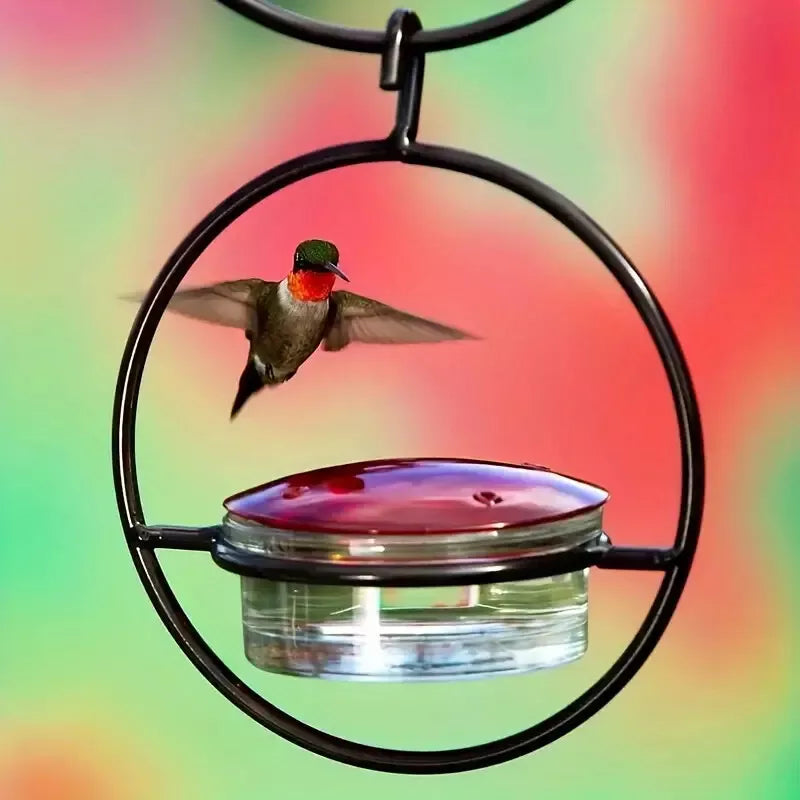 Hanging Hummingbird Feeder with Circular Metal Holder and Perch - 5.9" x 7.7"