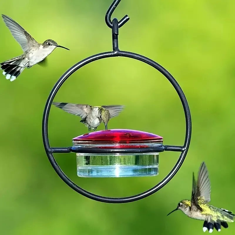 Hanging Hummingbird Feeder with Circular Metal Holder and Perch - 5.9" x 7.7"